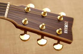 The first 1 to 3 months. The Structure Of The Acoustic Guitar The Rule Of Strings And Pitch Musical Instrument Guide Yamaha Corporation