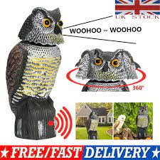 Do fake owls scare away crows? Bird Scarer Rotating Head Sound Owl Prowler Decoy Protection Repellent Pest Control Scarecrow Buy From 27 On Joom E Commerce Platform