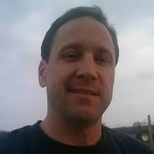 Where to find black or red angus bull?