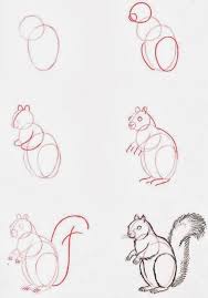 Le Coin Des Enfants Apprendre A Dessiner Un Ecureuil Ecureuil Dessin Tutoriel De Dessin Tutoriel Dessin