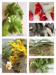 Dia da espiga do século xx aos dias de hoje. 17 Ideias De Dia Da Espiga Dia Da Espiga Dia De Portugal 1 De Maio