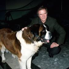 Ein wahrer klassiker aus dem genre hunde filme ist immer noch „ein hund namens beethoven. Beethoven Und Co Die Besten Hunde Der Filmgeschichte Bildderfrau De