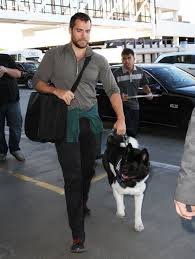 Henry Cavill Photos Henry Cavill Catches A Flight With His Dog Henry Cavill Akita Henry Cavill News