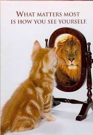 Funny Cat Picture Cute Kitty Pic Kitten Looking In Mirror Seeing A Lion Animals Funny Animals Cute Cats