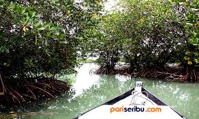 Kami mengumpulkan soal dan jawaban dari tts (teka teki silang) populer yang biasa muncul di koran kompas, jawa pos. Tanaman Mangrove Pulau Pari Wisata Pulau Pari Kepulauan Seribu