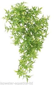 Reptile Vivarium Croton Vine Decoration Terrarium Artificial Plant 10cm X 30cm Vine Decoration Artificial Plants Plant Decor