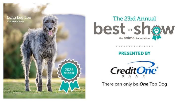 Best in Show 2026 - The Animal Foundation