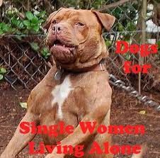 5 Best Dog Breeds For Single Women Living Alone In 2020 Best Guard Dogs Dogs Best Dog Breeds
