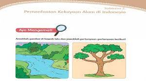 Kunci Jawaban Tema 9 Kelas 4 Halaman 49 50 51 52 53 54 56 57 58 Subtema 2 Pemanfaatan Kekayaan Alam Halaman All Tribun Pontianak