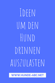 Meinen hunden soll es gut gehen auch wenn sie alleine zuhause sind. Ideen Um Den Hund Drinnen Auszulasten Hunde Hund Beschaftigen Beschaftigung Fur Hunde