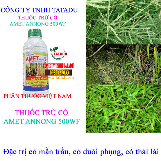 Amet annong 500FW