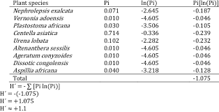Image result for Vernonia congolensis