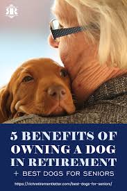 Dogs For Seniors 5 Benefits Of Owning A Dog Breeds To Consider 5 Benefits Of Owning A Dog In Retirement Looking For The Best Dog In 2020 Best Dogs Dog List Dogs
