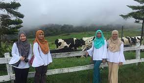Jika anda berada di pekan kundasang menuju ke taman kinabalu atau kinabalu national park, tempat menarik ini adalah lebih kurang 500 meter sebelum sampai ke simpang masuk ke kinabalu tempat ini merupakan salah satu tempat menarik, kundasang yang baru dibuka pada tahun 2017. Review Pengalaman Percutian Bajet Ke Sabah Blog Pakej My