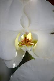 Daniel Satterly Obituary (2014)