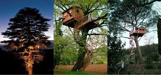 Te presentamos a casas del árbol, la nueva forma de vivir, con amenidades rodeadas de naturaleza para recorrer y disfrutar en familia, en un complejo urbano sin igual. Una Casa En El Arbol