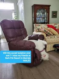Average home prices were $91,513 in early 2020. Bark Pet Resort 1550 1598 Frontage Rd Murrells Inlet Sc Pet Grooming Mapquest