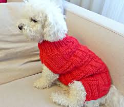 Pin On Dog Clothes
