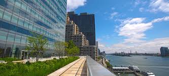Get tips on choosing the best coverage for you and your family. Nyu Langone Joins U S Health Care Climate Council Nyu Langone News