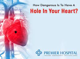 Heart murmurs usually result from an abnormal blood flow through the heart. How Dangerous Is To Have A Hole In Your Heart Premier Hospital