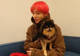 kim taehyung v kim yeontan kim yeontan bts dogs kim taehyung