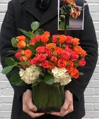 Well, in terms of washington, dc florists, it's clear that lee's flower shop is the premier choice! Petworth In Washington Dc Volanni