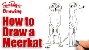 How To Draw A Meerkat Simples Spoken Tutorial Youtube Using your pencil, draw an oval. how to draw a meerkat simples spoken tutorial