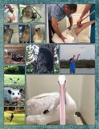 WILDLIFE SANCTUARY OF NORTHWEST FLORIDA