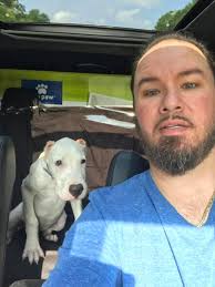 Can anyone suggest me the kennel setup for doggo argentino's please 🙏