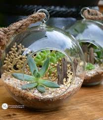 17 Terrarium Plants That You Ll Love For Your Homestead Succulent Garden Diy Succulents Diy Terrarium Diy
