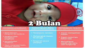 Perkembangan bayi 3 bulan secara fisik dan emosional. Perkembagan Bayi 2 Bulan Bayi Bayi Lucu Tertawa