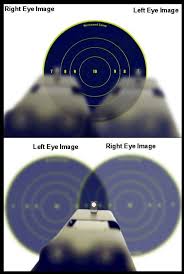 Aiming With Both Eyes Open Guns Guns Safety Self Defense
