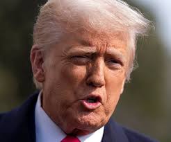 Harrison Fields to Newsmax: Trump's Ukraine Decision has 'Europe Standing  Up for Europe'