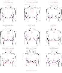 Breast Size Chart - XXGASM