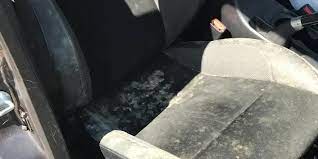 Easy Car Mold Removal Tips From An Auto