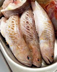 Vive Un Poisson Qui Fait Mal Mais Qui Se Mange