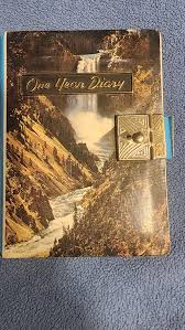 June Dickson (@dicksonjune) • Instagram photos and videos