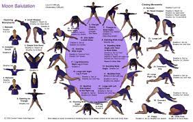 We did not find results for: Moon Salutation Reference Card Serenity Yoga Corinne Friesen Serenity Audio Yoga 9781897266298 Books Amazon Ca