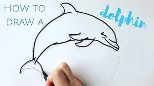 Beginners How To Draw A Dolphin Step By Step - Youtube