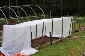 If you're worried about young plants or soft fruit, putting up a shade cloth might be a temporary solution. 12 Easy Ways To Help Your Garden Thrive In Hot Weather Southern Exposure Seed Exchange