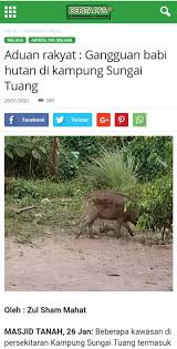 Maybe you would like to learn more about one of these? Aduan Rakyat Gangguan Babi Hutan Buat Aduan Telefon Tindakan Dalam 3 Hari Perhilitan Berita Parti Islam Se Malaysia Pas