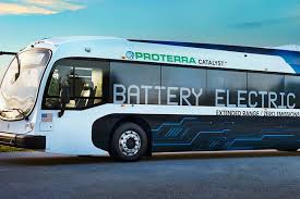 Image result for Bussea