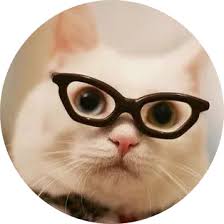 Uma tribo de gatos chamados os jellicles deve decidir anualmente qual deles vai ascender para a capa heaviside para assim poder retornar para uma nova vida jellicle. Subtitle Cat All Language Subtitles