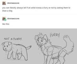 Funny Tumblr And Tumblr Post Image Cat Memes Tumblr Posts Funny