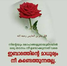 Pin On Slave Of Allah
