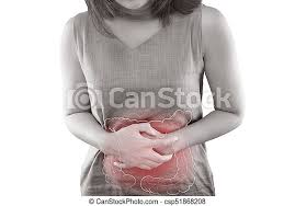 Human anatomy female human anatomy picture human anatomy chart human anatomy drawing the human body human body organs human body systems inside human body human organ diagram. The Photo Of Large Intestine Is On The Woman S Body Isolate On White Background Female Anatomy Concept Canstock