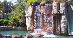 Check spelling or type a new query. 25 Fun Things To Do In Tampa With Kids Of All Ages