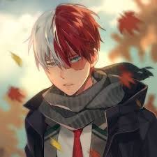 A collection of the top 52 shoto todoroki wallpapers and backgrounds available for download for free. Shoto Todoroki Botmake Io