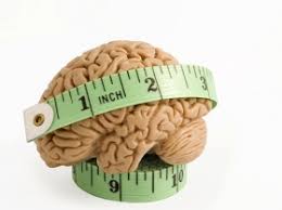 Resultado de imagen de volumen cerebral
