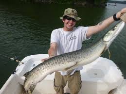 Lake Allatoona - Complete Guide To Fishing Lake Allatoona In Ga